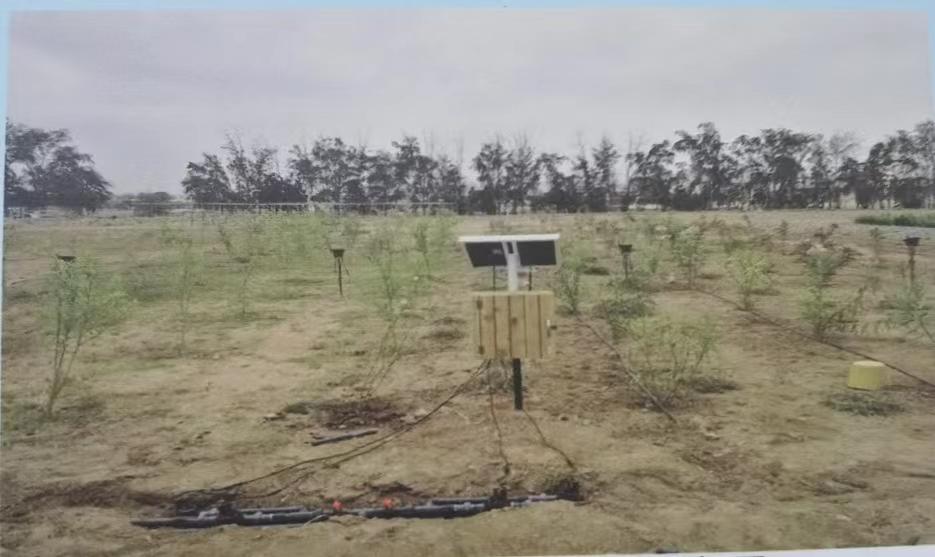 地下全渗灌管道灌溉装置